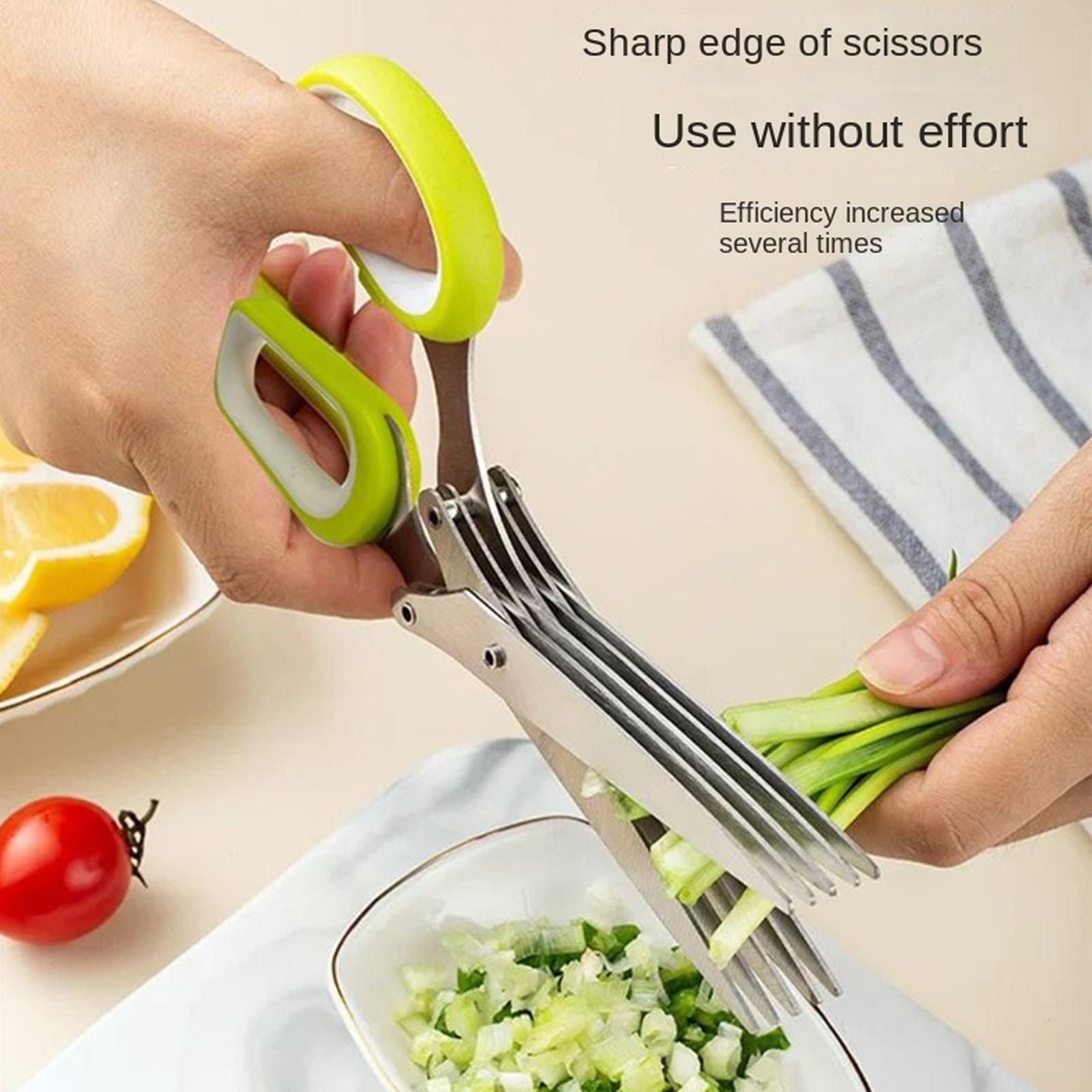 Kräuterschere mit 5 Klingen au – Herb Scissors 5 Blade Bewertung und Preis