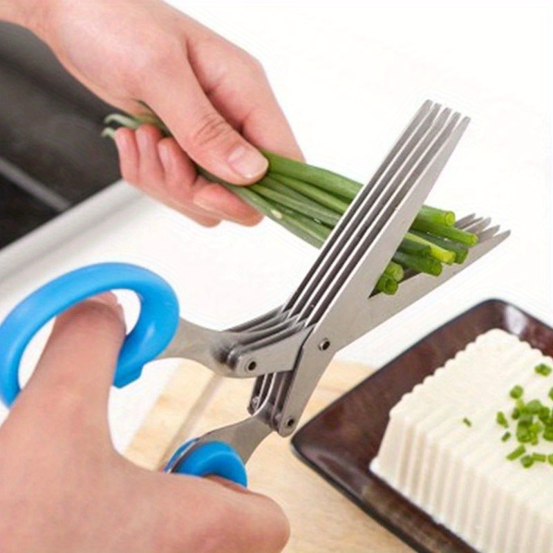 5-Blatt-Küchenschere aus Edels – Herb Scissors 5 Blade Bewertung und Preis