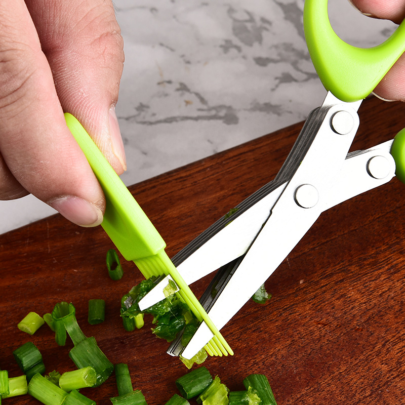 Edelstahl-Mehrschicht-Kräuters – Herb Scissors 5 Blade Bewertung und Preis