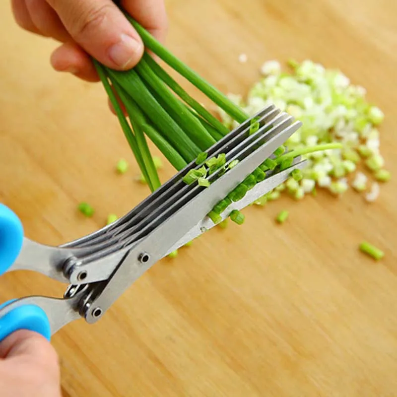 5-lagige Schere mit Klinge für – Herb Scissors 5 Blade Bewertung und Preis